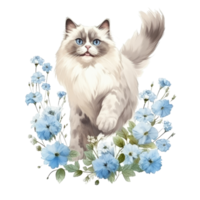 Watercolor painting of Ragdoll Cat isolated transparent background, Digital art, image file format, png