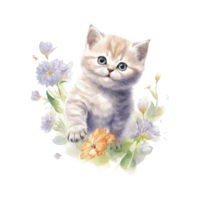 Watercolor painting of cute British Shorthair Kitten isolated transparent background, Digital art, image file format, png