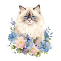 Watercolor painting of Ragdoll Cat isolated transparent background, Digital art, image file format, png