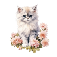 Watercolor painting of Cute Persian Kitten isolated transparent background, Digital art, image file format, , png