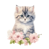 Watercolor painting of Cute Persian Kitten isolated transparent background, Digital art, image file format, , png