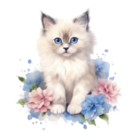 Watercolor painting of Ragdoll Kitten isolated transparent background, Digital art, image file format, png