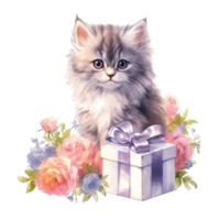 Watercolor painting of Cute Persian Cat isolated transparent background, Digital art, image file format, , png