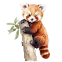 Watercolor painting of cute animal red panda isolated transparent background, Digital art, image file format, png