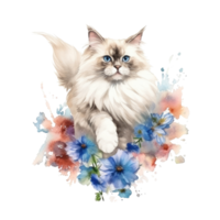 Watercolor painting of Ragdoll Cat isolated transparent background, Digital art, image file format, png