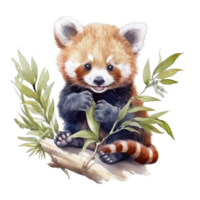 Watercolor painting of cute animal red panda isolated transparent background, Digital art, image file format, png