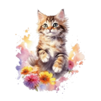 aguarela pintura do fofa maine coon gatinho isolado transparente fundo, digital arte, png imagem Arquivo formatar, ai generativo