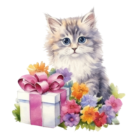 Watercolor painting of Cute Persian Cat isolated transparent background, Digital art, image file format, , png