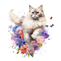Watercolor painting of Ragdoll Cat isolated transparent background, Digital art, image file format, png
