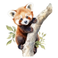 aguarela pintura do fofa animal vermelho panda isolado transparente fundo, digital arte, png imagem Arquivo formatar, ai generativo