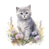 Watercolor painting of cute British Shorthair Kitten isolated transparent background, Digital art, image file format, png