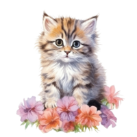 Watercolor painting of Cute Persian Kitten isolated transparent background, Digital art, image file format, , png