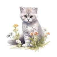 vattenfärg målning av söt brittiskt kort hår kattunge isolerat transparent bakgrund, digital konst, png bild fil formatera, ai generativ