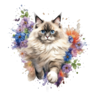 Watercolor painting of Ragdoll Cat isolated transparent background, Digital art, image file format, png
