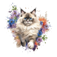 aquarelle La peinture de ragdoll chat isolé transparent arrière-plan, numérique art, png image fichier format, ai génératif