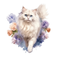 Watercolor painting of Ragdoll Cat isolated transparent background, Digital art, PNG image file format, AI Generative
