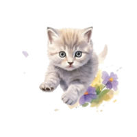 acuarela pintura de linda británico cabello corto gatito aislado transparente fondo, digital arte, png imagen archivo formato, ai generativo
