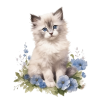 Watercolor painting of Ragdoll Kitten isolated transparent background, Digital art, image file format, png