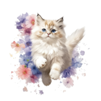 Watercolor painting of Ragdoll Kitten isolated transparent background, Digital art, image file format, png