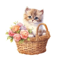 vattenfärg målning av söt persisk katt isolerat transparent bakgrund, digital konst, png bild fil formatera, ai genererad, generativ ai