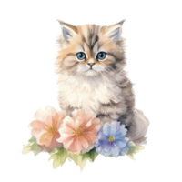 Watercolor painting of Cute Persian Kitten isolated transparent background, Digital art, image file format, , png