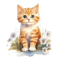 Watercolor painting of Orange Kitten isolated transparent background, Digital art, image file format, png
