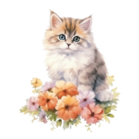 Watercolor painting of Cute Persian Kitten isolated transparent background, Digital art, image file format, , png