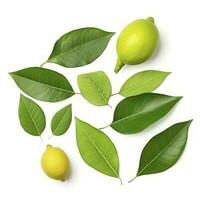 Fresh lemon with green leaves isolated on white background, generate ai photo