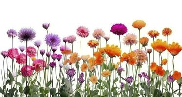 Abstract floral art background vector. Wallpaper of spring colorful flowers garden. Isolated on white for greeting cards, Easter, thanksgiving. Spring set, background , generate ai photo