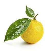 Citrus Lemon leaf with water drops isolated on white background, generate ai photo