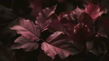 artístico vistoso roble otoño temporada hojas fondo, generar ai foto