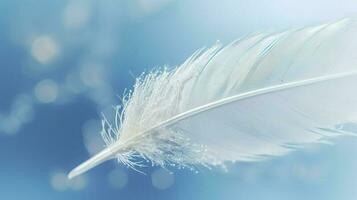 a bright blue background with one white feather, in the style of soft and dreamy pastels, glimmering light effects, nature inspired imagery, fairycore, soft focal points, generate ai photo