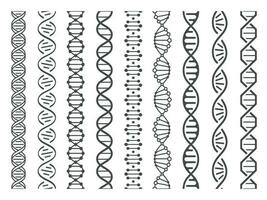 Seamless DNA spiral. Adn helix structure, genomic model and human genetics code pattern vector illustration set