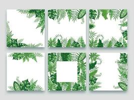 Exotic leaves frame. Tropical leaf border, nature summer frames and luxury palm leaves borders vector design background set