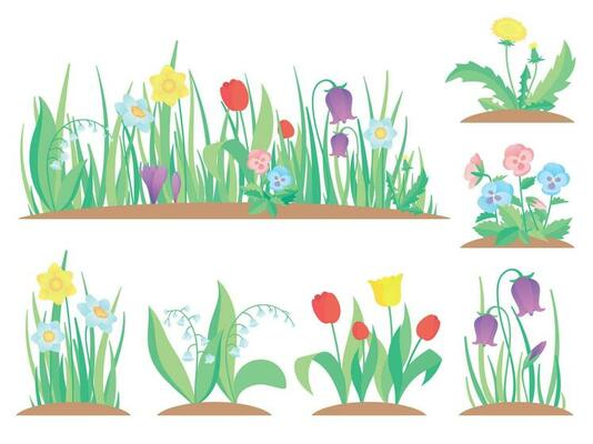 Spring garden flowers. Early flower, colorful gardens plants and flowering plant gardening flat vector illustration