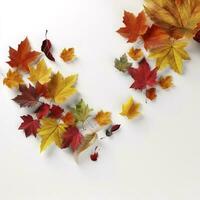 Autumn leaves isolated on white background , generate ai photo