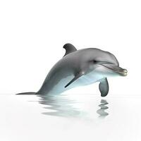 Dolphin isolated on white background, generate ai photo