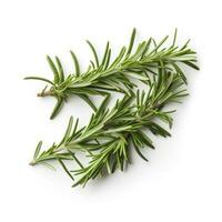 Fresh green organic rosemary leaves and pepper isolated on white background. natural transparent shadow, Ingredient, spice for cooking. collection for design, generate ai photo