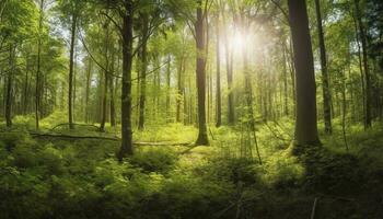 hermosa rayos de luz de sol en un verde bosque, generar ai foto