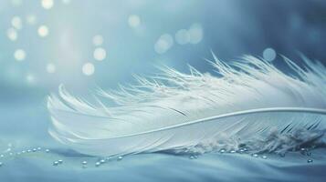 a bright blue background with one white feather, in the style of soft and dreamy pastels, glimmering light effects, nature inspired imagery, fairycore, soft focal points, generate ai photo