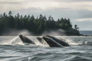 un grupo de jorobado ballenas incumplimiento fuera de el Oceano con un costero paisaje en el fondo, generar ai foto