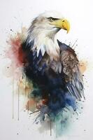 Bald eagle flying draw and paint on white background vector illustration, generate ai photo