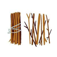 Bundle of firewood. Sticks for lighting a fire. Rustic element isolated on white vector