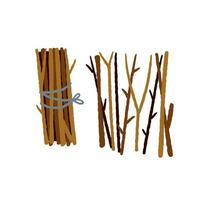 Bundle of firewood. Sticks for lighting a fire. Rustic element isolated on white vector