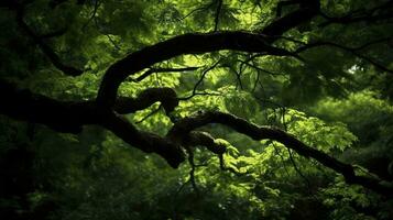 tierra día y mundo ambiente día, primavera, tropical árbol hojas y rama con hermosa verde bosque fondo, generar ai foto