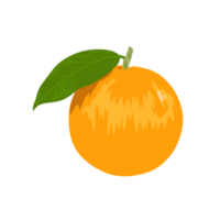 illustrazione di un arancia con suo verde le foglie png