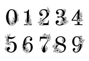 flor florido números. elegante florecer número, floral ramitas fecha y numérico monograma vector ilustración conjunto