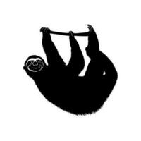 Sloth on the branch silhouette isolated on white background. Vector illustration