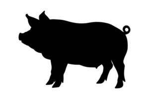 Pig silhouette isolated on white background. vector illustration