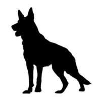 German shepperd dog silhouette isolated on a white background. Vector illustration